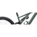 Bicicleta SPECIALIZED Kenevo Expert - Sage Green/Spruce S3