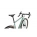 Bicicleta SPECIALIZED Diverge Sport Carbon - Gloss CA White Sage/Oak 54
