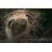 Bicicleta SPECIALIZED Stumpjumper EVO Expert - Gloss Carbon/Oasis/Black S1