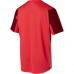 FLEXAIR SS MOTH JERSEY [BRT RD]: Mărime - L (FOX-22833-179-L)
