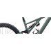 Bicicleta SPECIALIZED Kenevo Expert - Sage Green/Spruce S4