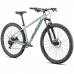 Bicicleta SPECIALIZED Rockhopper Comp 27.5 - White Sage/Satin Forest Green S
